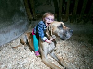 Three-year-old Brianna, who suffers from epilepsy, at her home in Killaloe with her Great Dane Charlie. Photograph by Arthur Ellis.