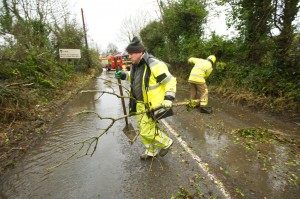 Tree down at Kilmaley