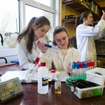 BT Young Scientist PR photos at Scoil Muire Ennistymon