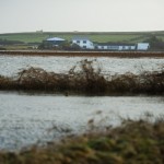 Flooding at Kilcredaun, Carrigaholt