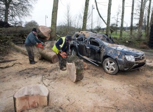 Clearing the tree from the areaat Bunratty.