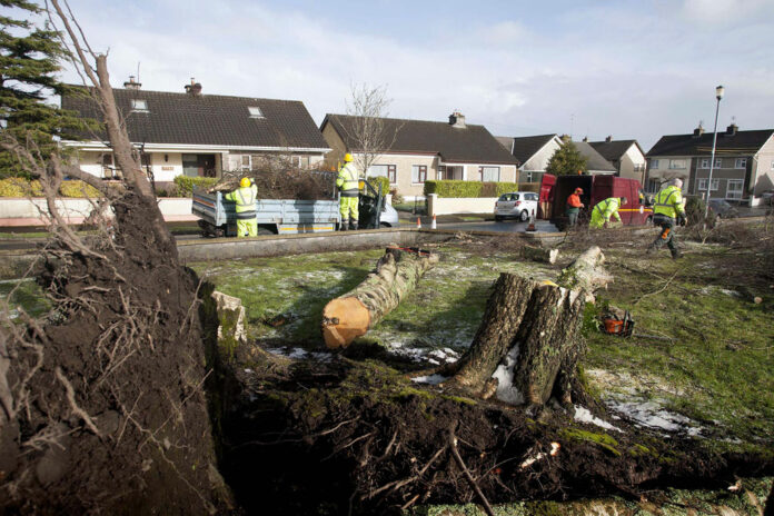 County Council workers cleaning up fallen trees at Kincora Park Ennis.