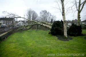 Storm Damage 9