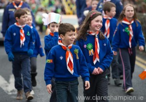 Young beavers  in Sixmilebridge. Photograph by John Kelly.