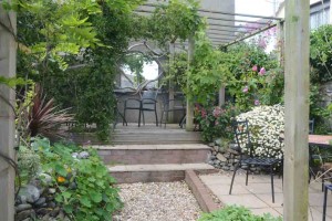 The garden at Susie's tearoom, Appledore.