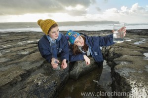 isabelle walsh, ellen king, mary immaculate, lisdoonvarna, youn scientist exhibition