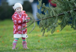 Three year old Anú Guilfoyle Mee having a go during the annual Christmas tree throwing championships in Ennis. Photograph by John Kelly.