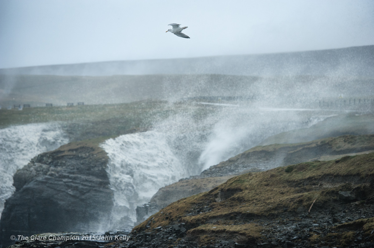 A lone seabird does battle with the strong wind's against a backdrop of uprising spray near St George's Head, Kilkee on Monday afternoon. Photograph by John Kelly.