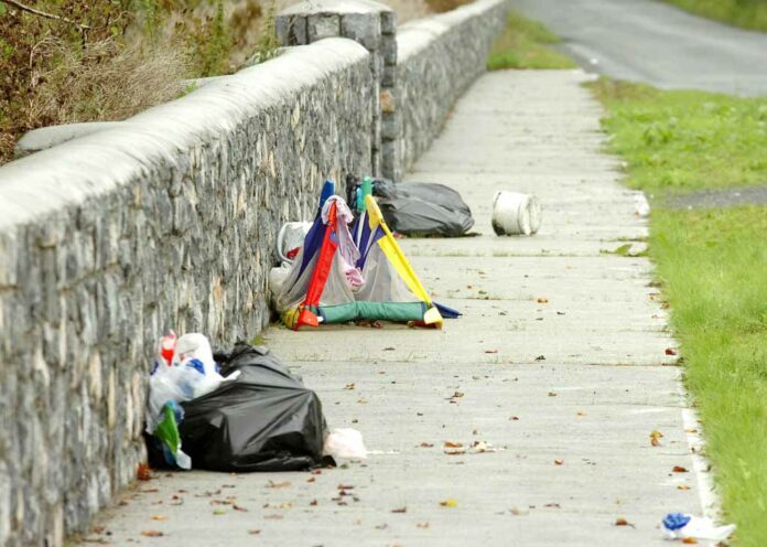 Saturday's clean up will target such indiscriminate dumping such as this near Lee's Road.