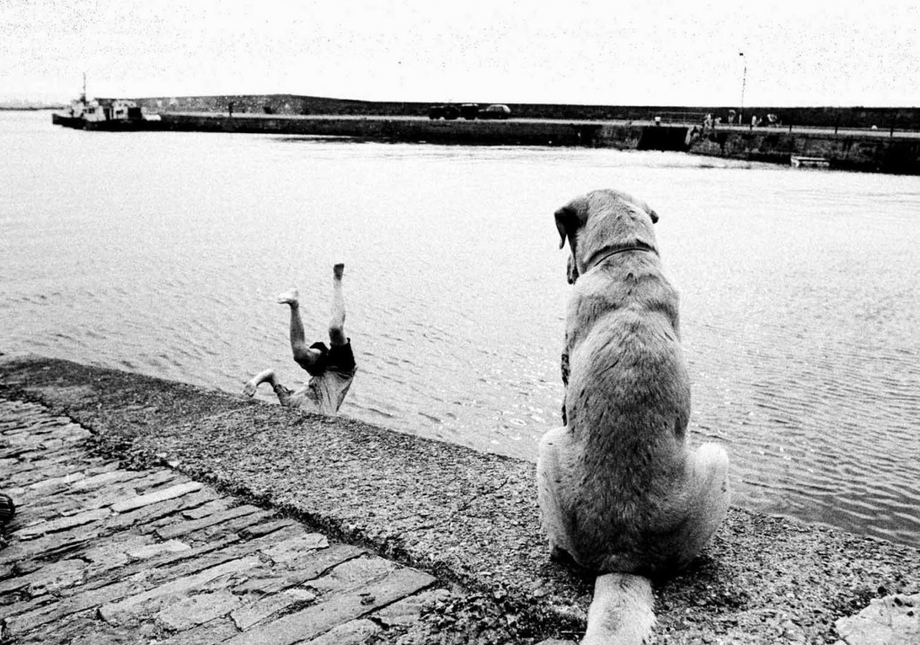 Fetch Boy !....Fetch! PPAI Feature picture of the year 2007. Photograph by John Kelly.