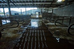 Flooding in South Galway