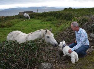 Shouldn't you be running in the Galway Races?