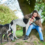 Clare Greyhound Sanctuary