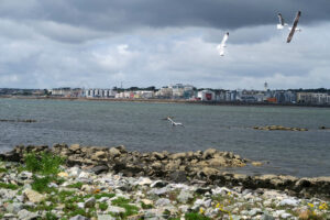 Salthill as seen from Mutton Island