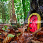 Autumn scenes at Ballybeg Woods, Clarecastle