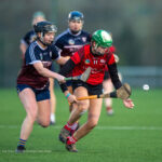 Colaiste V Laurel Hill-20220111-004