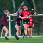 Colaiste V Laurel Hill-20220111-008