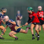 Colaiste V Laurel Hill-20220111-017