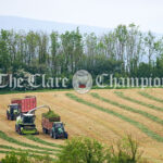 Silage being harvested at Scariff