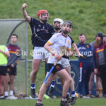 Harty Cup semi Final in Mallow