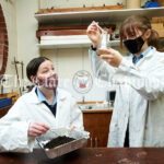 BT Young Scientist Projects at Lisdoonvarna