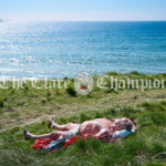 Sunbather at Spanish Point