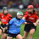 All-Ireland Senior Club semi final Oulart-The Ballagh V Scariff