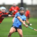 All-Ireland Senior Club semi final Oulart-The Ballagh V Scariff