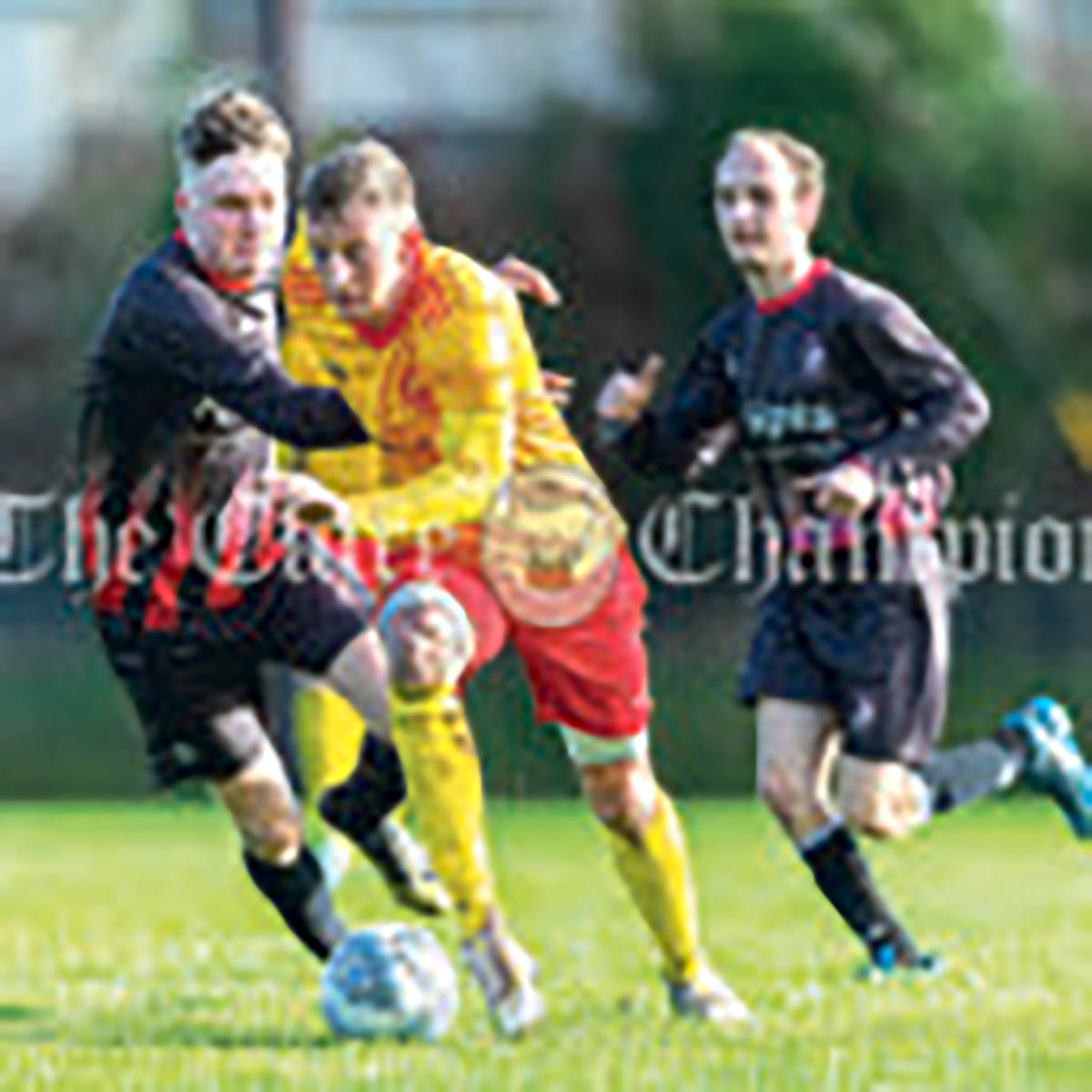 Premier Division Avenue Utd V Shannon Hibs