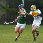 All-Ireland Post Primary Senior C Hurling Final at Toomevara