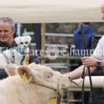 2022 Newmarket-on-Fergus Agricultural Show