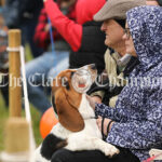 2022 Newmarket-on-Fergus Agricultural Show