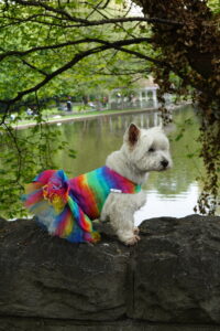 Posing in St Stephen's Green.