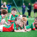 Clooney-Quin GAA’s new Astro Pitch and Ball Wal