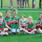 Clooney-Quin GAA’s new Astro Pitch and Ball Wal