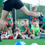 Clooney-Quin GAA’s new Astro Pitch and Ball Wal