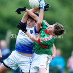 U-13 Division 2 football final at Shannon