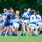 U-13 Division 2 football final at Shannon