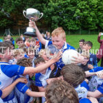 U-13 Division 2 football final at Shannon