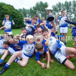 U-13 Division 2 football final at Shannon