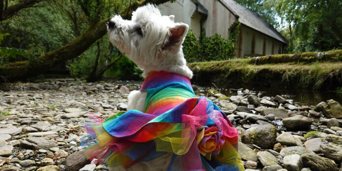 Posing by the brook.