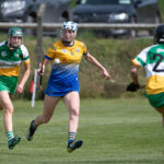 All Ireland Senior Camogie Championship Relegation Play-off, Moneygall GAA Grounds, Moneygall, at 16:26:17, 16July 2022,