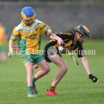 U-13A Academy hurling final-Ballyea V Inagh/Kilnamona at Clareab