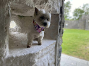 On the lookout at Aughanure Castle.