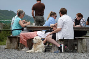 Dogs are very welcome at The Misunderstood Heron.