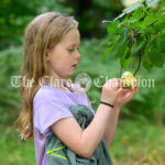 Flagmount National School Forest School outing