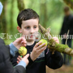 Flagmount National School Forest School outing