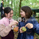 Flagmount National School Forest School outing