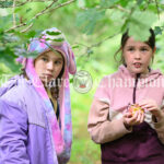 Flagmount National School Forest School outing