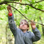 Flagmount National School Forest School outing